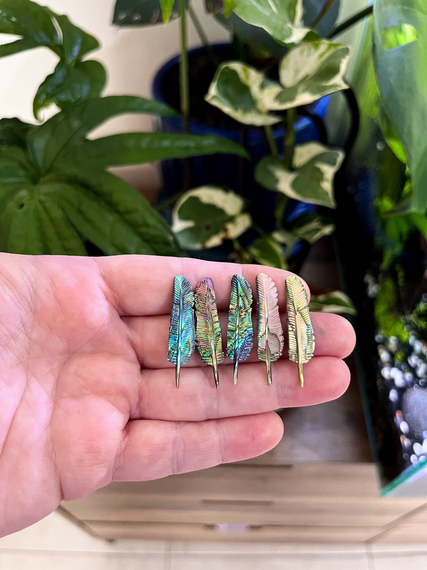 Small hand carved feathers- paua shell- cost per feather